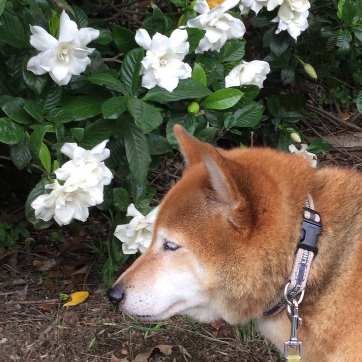 11ed1f6e 22e9 41a5 868b 4fd7dedf6af4 1593151651454