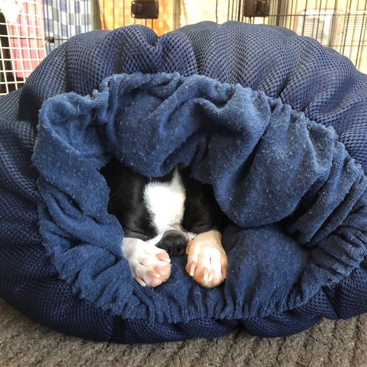 11ed20c8 09c8 4f79 9158 c00a2e9dfbe0 1539959184747