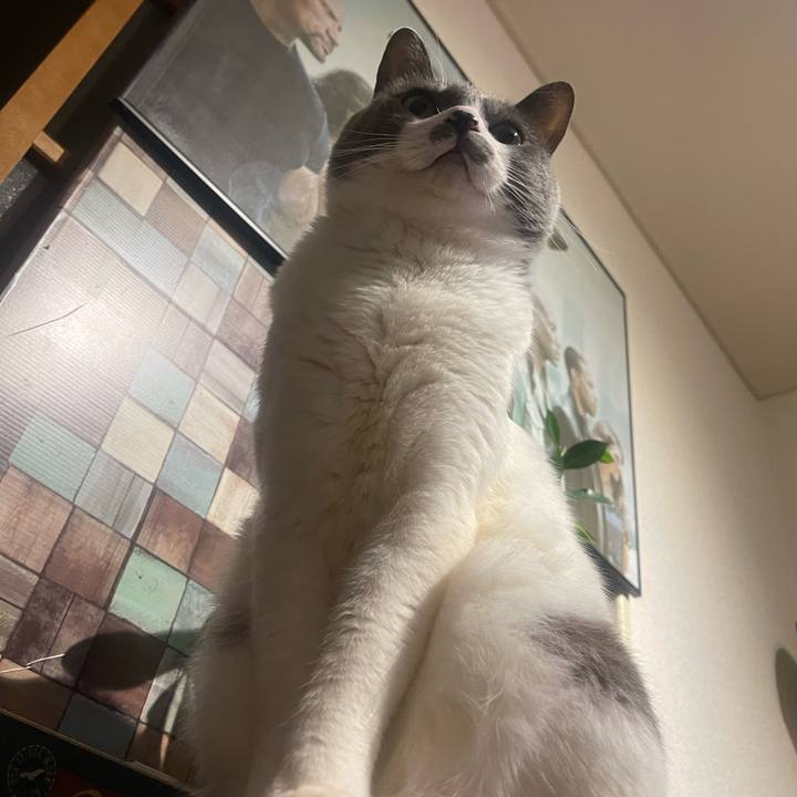 11ed66f1 afb9 468e a758 ca49e0cd67cf 1739289626859