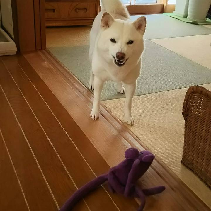 11ed92ec c90e 49c9 a0a1 1e1fcaf95ce2 1547345947549