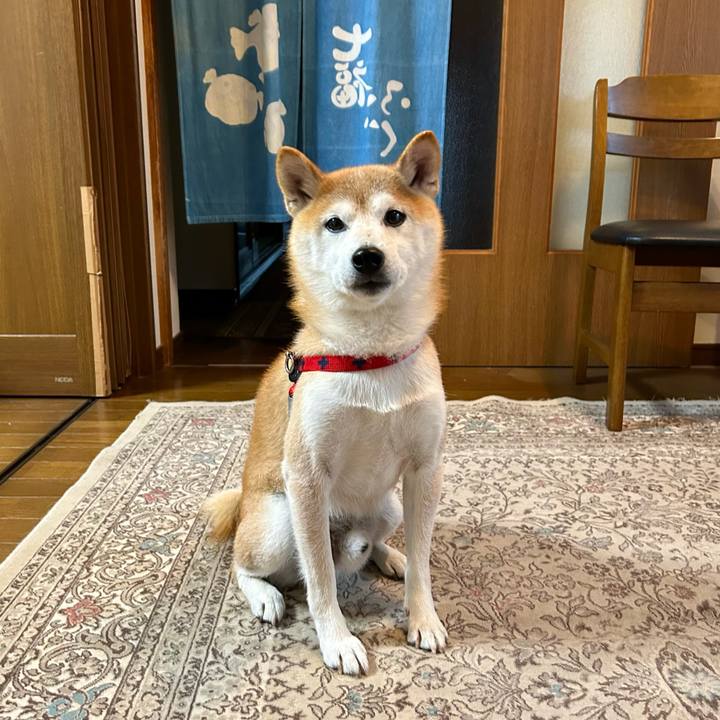 11edac58 51ac 4565 ad2a 191a863c58f4 1699614006953