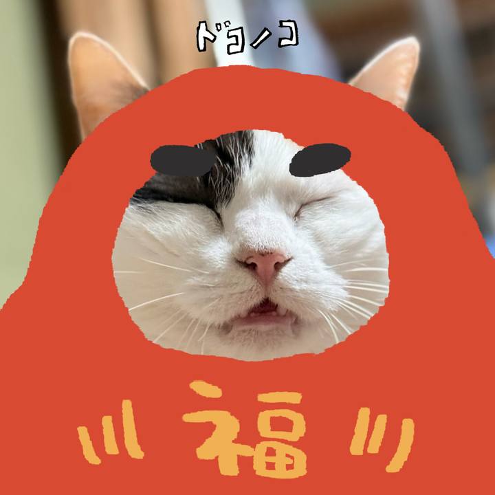 11edb788 8195 4932 8093 2a720b516843 1771985967378