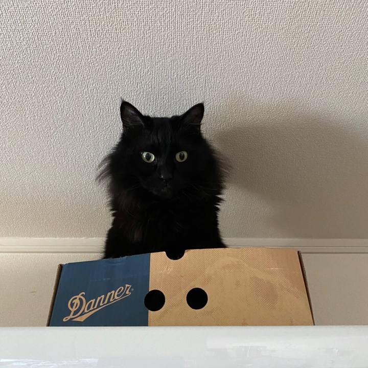 11edfd27 41c0 4a71 a7a1 666154bb2dd5 1582867826368