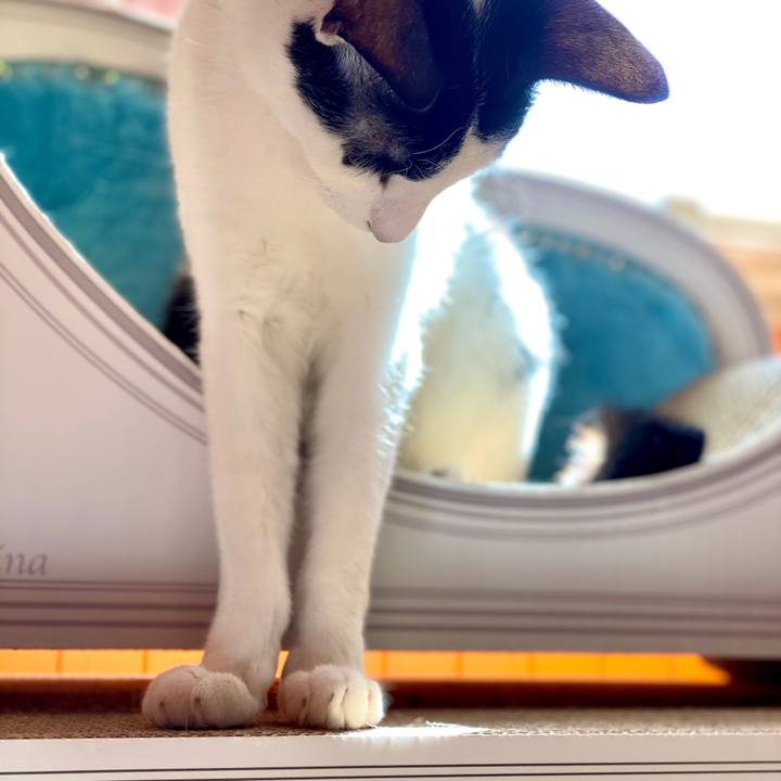 11ee0af8 9633 4375 ba4a d38ba73b1885 1583199006717