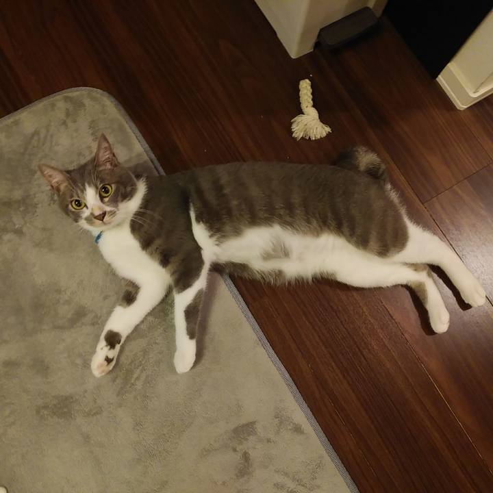 11ee1072 dd05 4bf9 8918 e0c43f8fa1f4 1593006236280