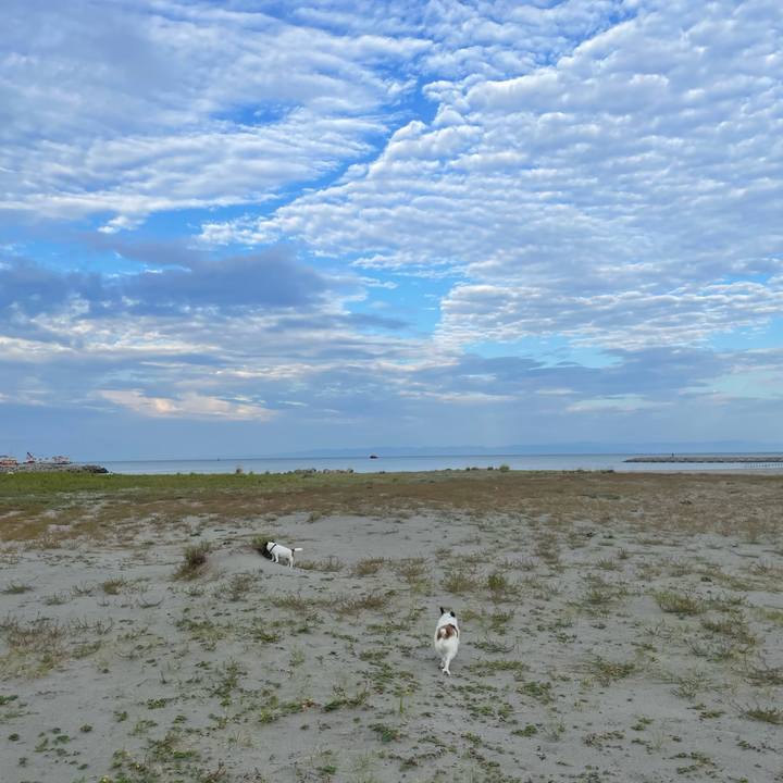 11ee1c00 0099 45d5 8698 559b6fc8118e 1759534183630