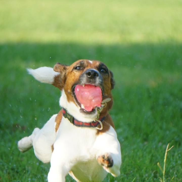 11ee2c67 fdb9 43bc 8855 fbed6394cb0b 1533163839492