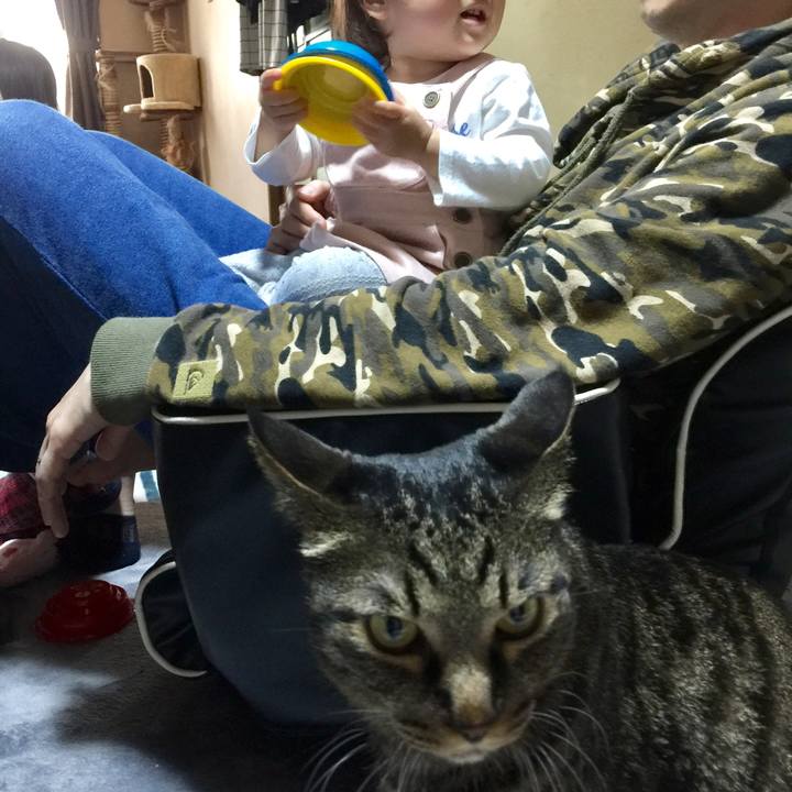 11ee45e0 bca6 40f1 93ba 9f24e8f5ef26 1566690110157