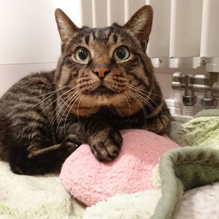 11ee6172 b8ad 4159 be74 079a09af3503 1512571641310