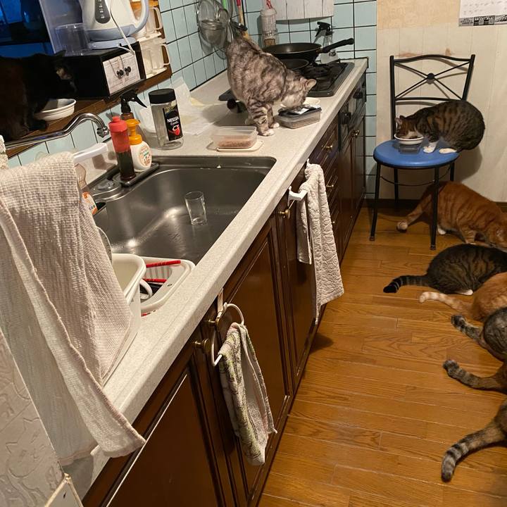 11ee8559 6d95 4199 b591 f4056a1558c7 1614675454094