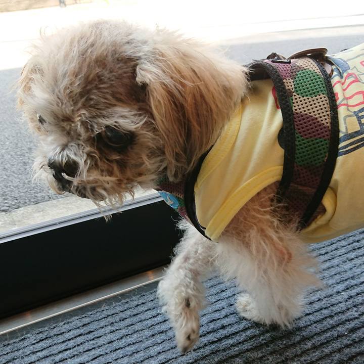 11eea838 34c1 4b16 8067 8f617ac14ddd 1543270903154