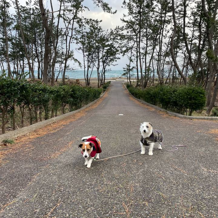 11eeb901 eb04 4ca6 b569 a7d1938b1654 1672791988913