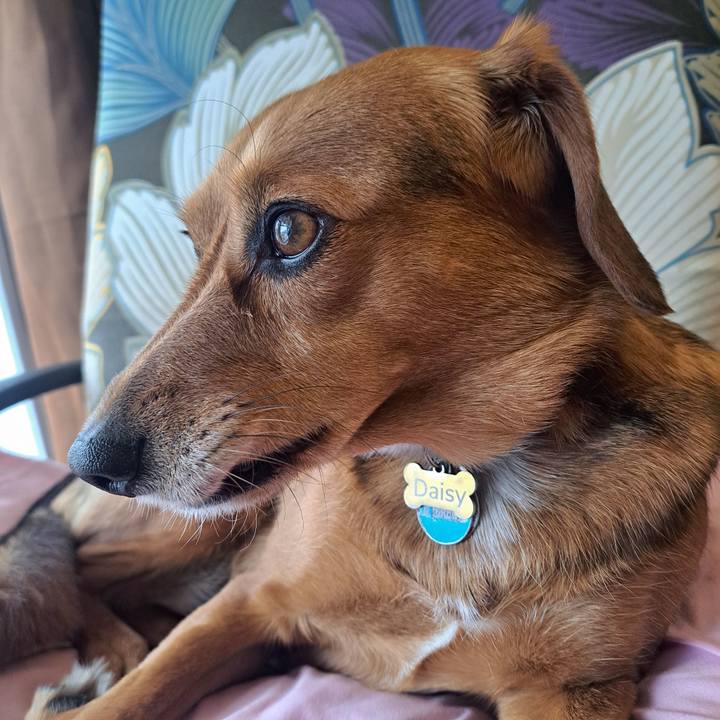 11eee76d ecdf 4ecd 9f7e 85870abaf584 1775315811586