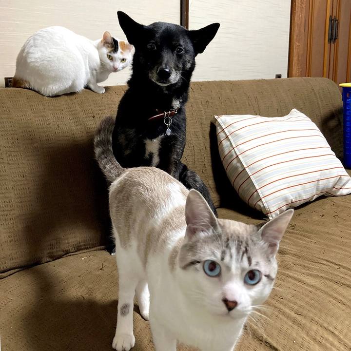 11eeeb7a ee9d 41a2 a8bd 266824b1c79b 1634898828218