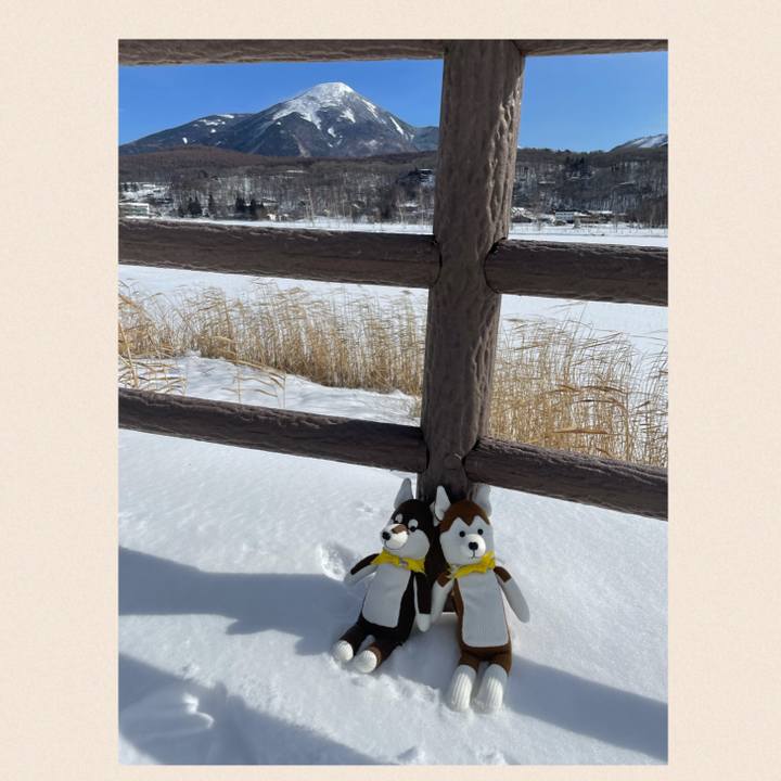 11ef0e31 0afa 4207 891b c5fec2933972 1640752703215