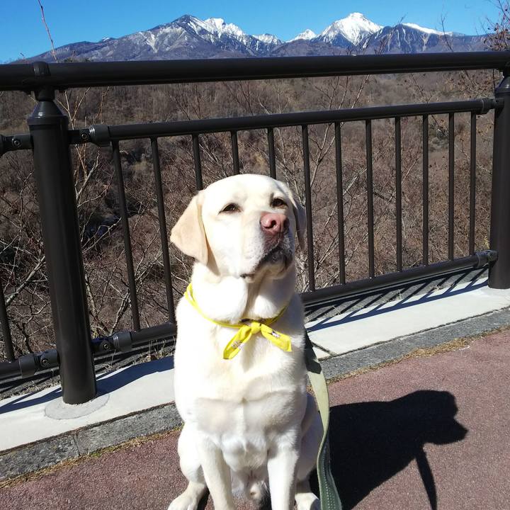 11ef4643 4262 4980 9026 c6a2a73c6324 1550046536290