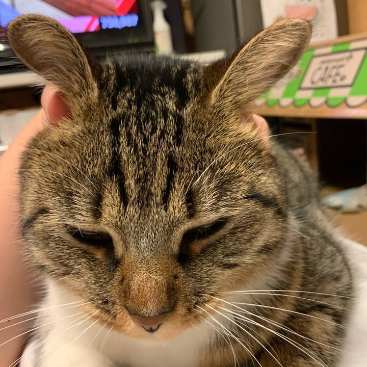 11ef5575 77c4 4c24 8300 da3852951e74 1661602441310