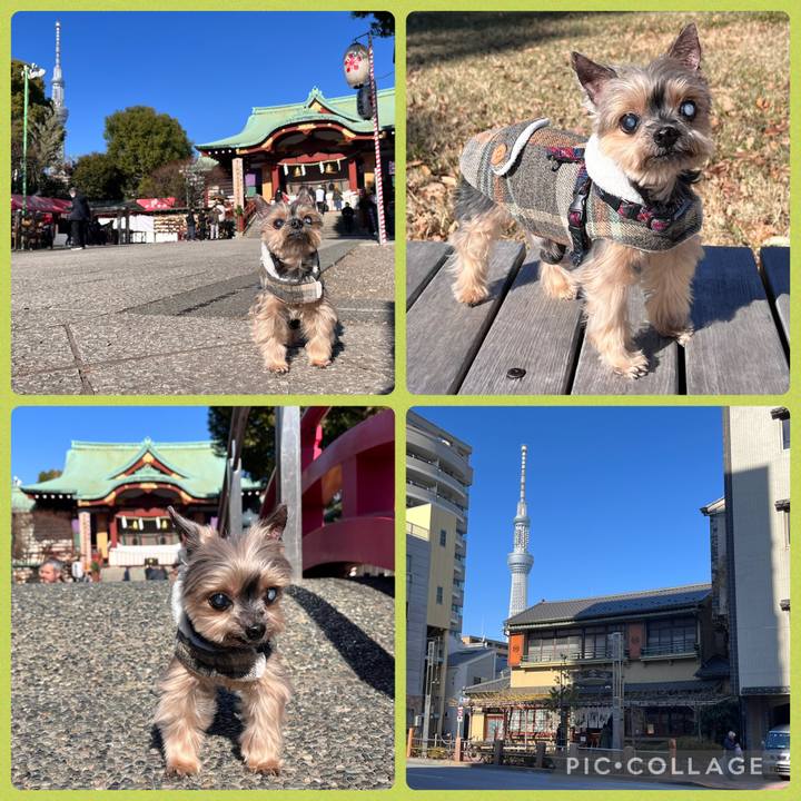 11ef5787 4e5e 4a89 8f24 d6a20a98e642 1735624592708