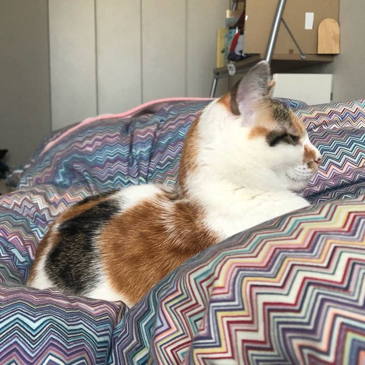 11ef94e2 d49a 47ae 82a6 066bad457f1b 1587425469166