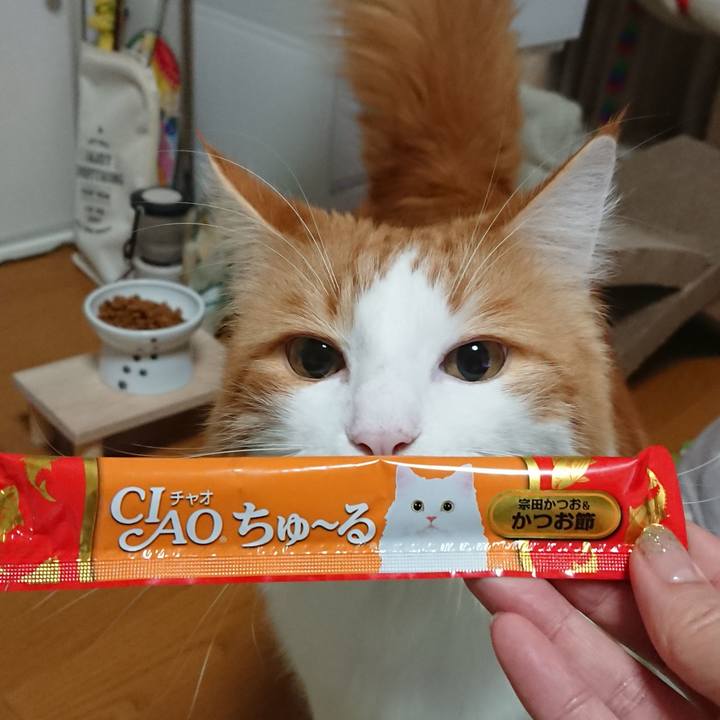 11f04782 4442 4c05 98e5 5071c1f1893c 1574048722935