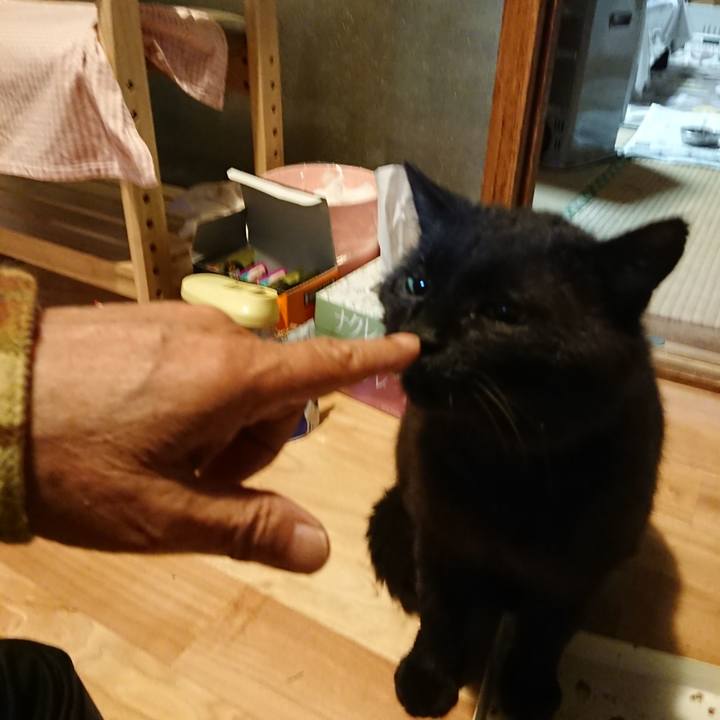 11f058ca 1f9b 4dae 9400 96af78e097ce 1621952828596