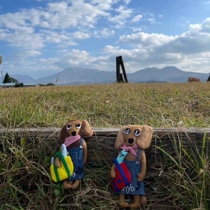 11f064ec 3acf 4d6a 9ab1 c2de05ece8ca 1698498801355