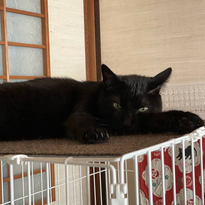 11f08069 e5fa 4ab1 911c f25ae66e7b3c 1626224345428