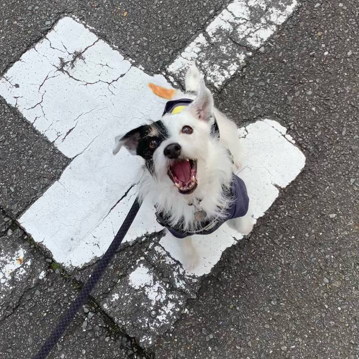 11f0a3c1 c8a7 4136 8e8d 3578222d215f 1730851888617