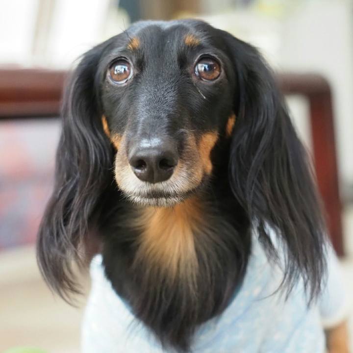 11f0be5b 6443 48f4 b705 963b9070ca33 1570631632431