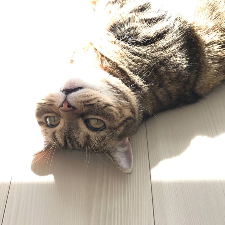 11f0e2b7 9007 469e a953 eaef916e4c43 1522384695894