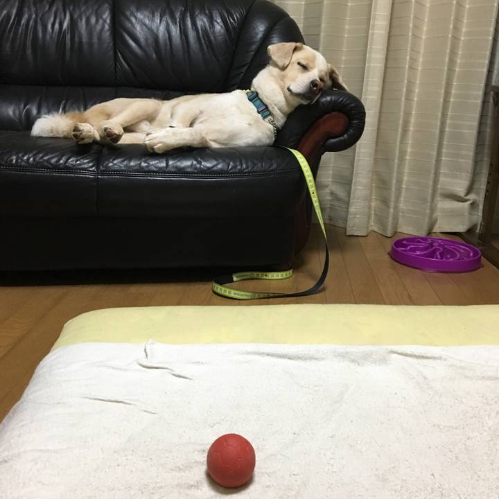 11f0f33f d840 4fba b017 887eaf9d0105 1532101328677