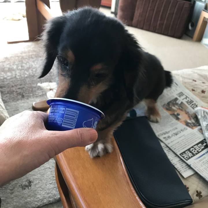 11f0fd93 53c2 4d39 8d95 ca39a9837ef9 1512178620166