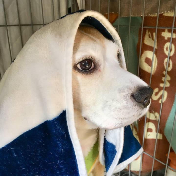 11f13c44 52f5 4050 aff1 038c34c39aa8 1548818894179