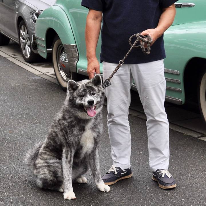 11f13e93 439c 44ab bf85 4144dbb21c8f 1566974104984