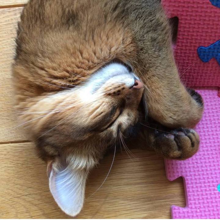 11f154e5 610d 470e 9e12 c20fc4841983 1745240649948