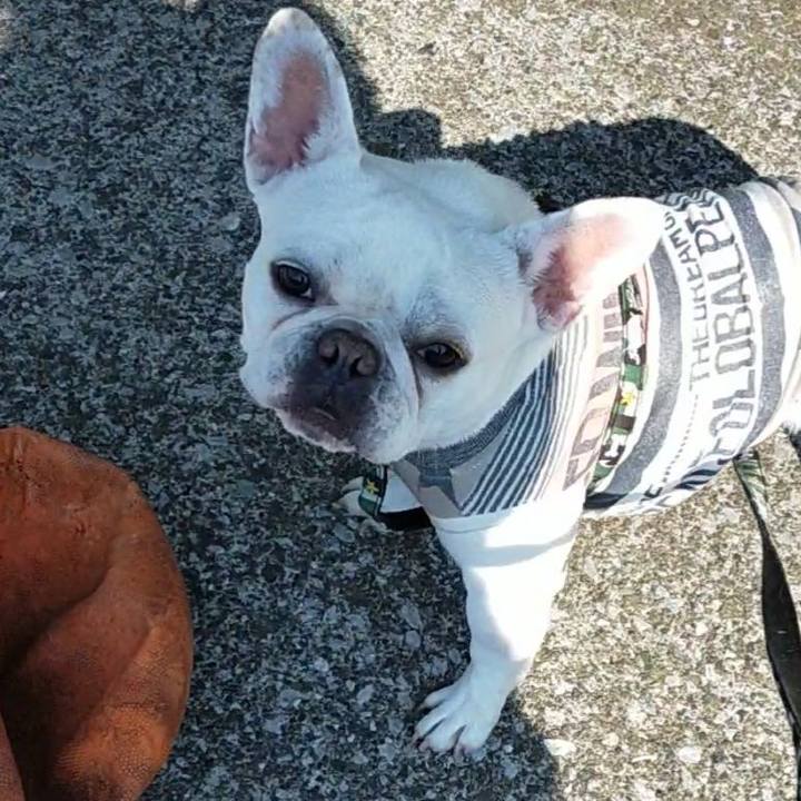 11f1a8f2 70e8 41b0 8f06 1b6f9e4e85d5 1651654571022