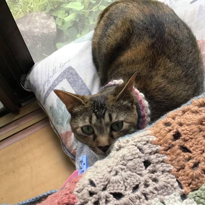 11f1af32 d1f4 4f6f b9f5 a49b33fa43b1 1624254787684