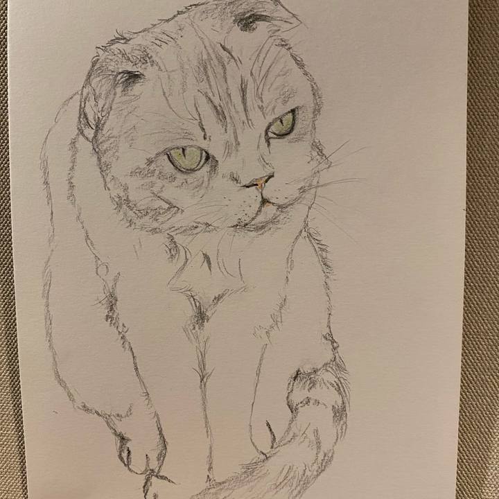 11f1cbae 25ba 4772 a752 532965de58d2 1641047935668