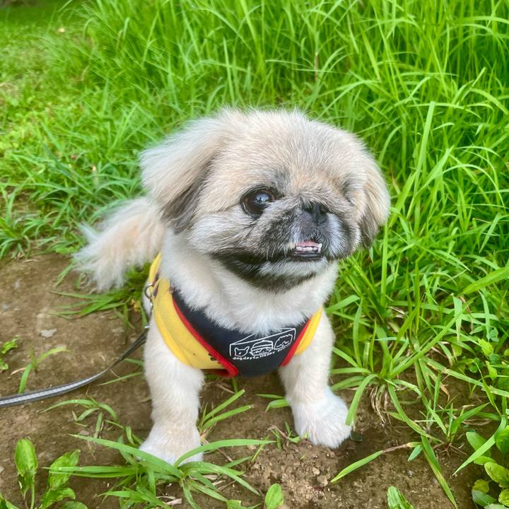 11f1e3fc c702 4a4a 8518 bf5ece3b7c54 1722206135846