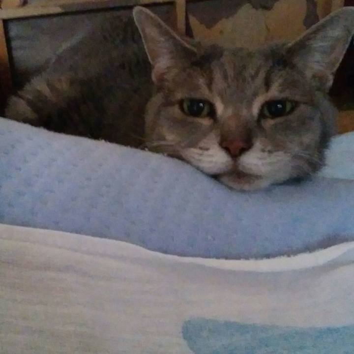 11f1f1cf 24c6 4319 9d22 e1a74b4f4f52 1590977139211