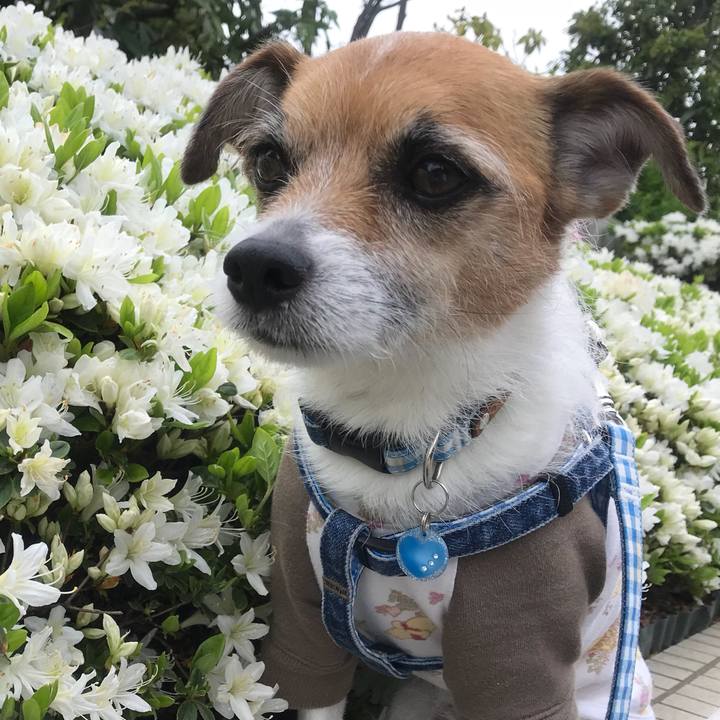 11f21f9d df5a 4f51 b16f 79255848c304 1523668461601