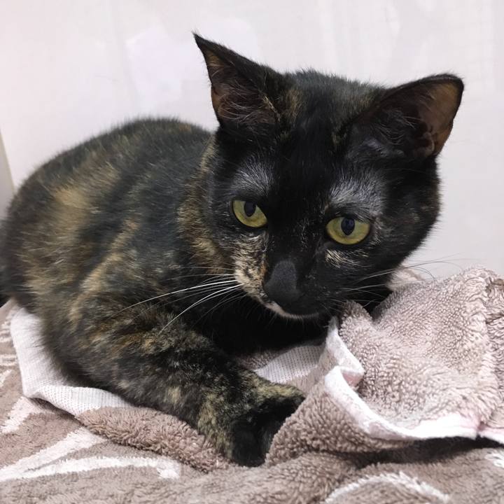 11f22493 8d55 4701 8dde 9ebb79d4331f 1563446332541