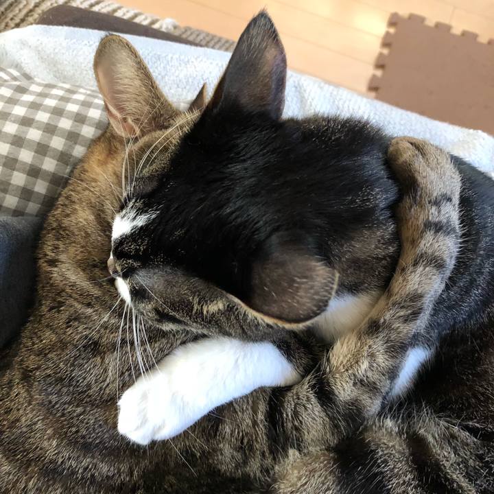 11f22f6f ab6f 46f4 8259 3b3fbb4b183f 1518090092034