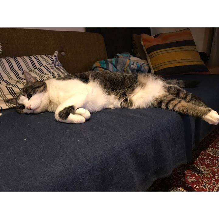 11f24199 3d6d 4631 9143 01c73a652646 1558362304942