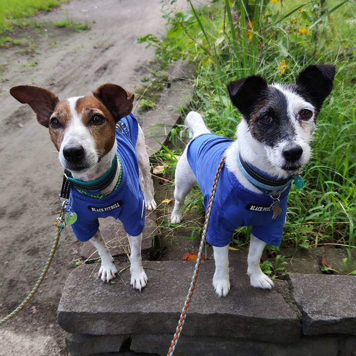 11f259a4 e6bb 4c0e ab8b a1584ba18039 1724190249845