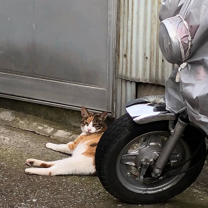 11f28337 f966 42a6 86a8 f73e577be130 1531083689379