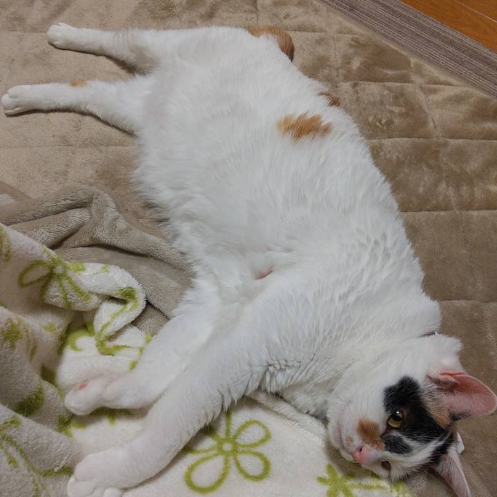 11f29252 4542 400c ac27 a57c123a70a9 1639913127563