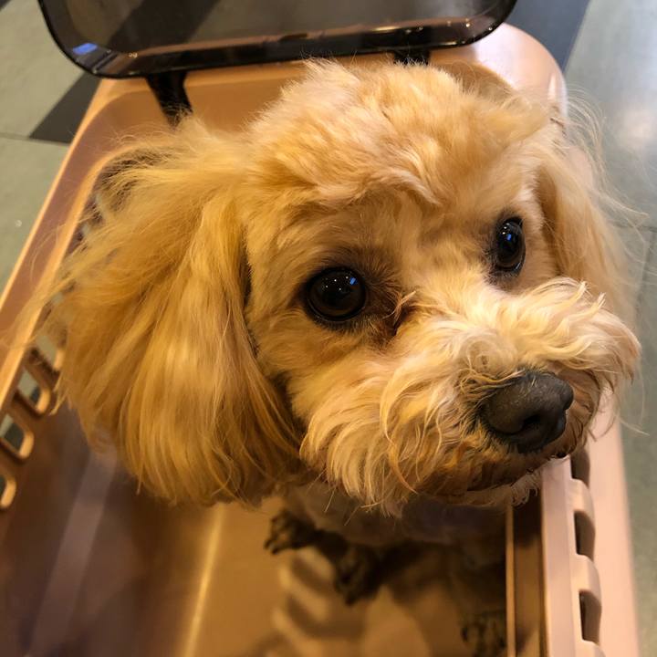 11f29ecf fe28 4f96 9293 1b76e1bfb3c3 1622065710362