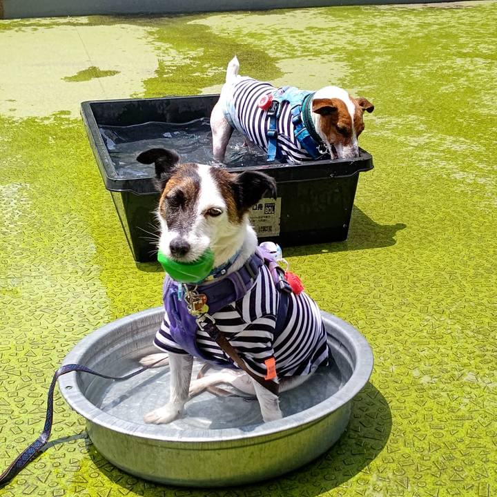 11f2bfc6 de8b 482c af27 350b031636d6 1687948413775