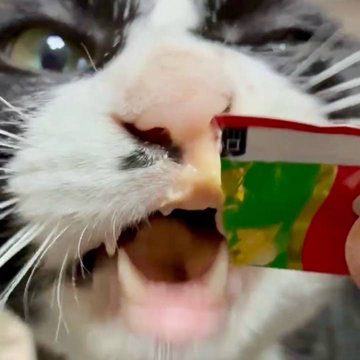 11f2dcf1 c958 4c98 bf91 87b667222531 1754706605970